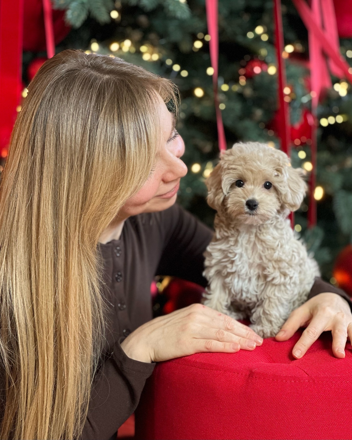 Sarah Lorenzo profile picture