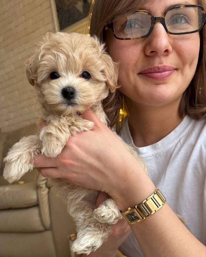 Mark Filmier profile picture